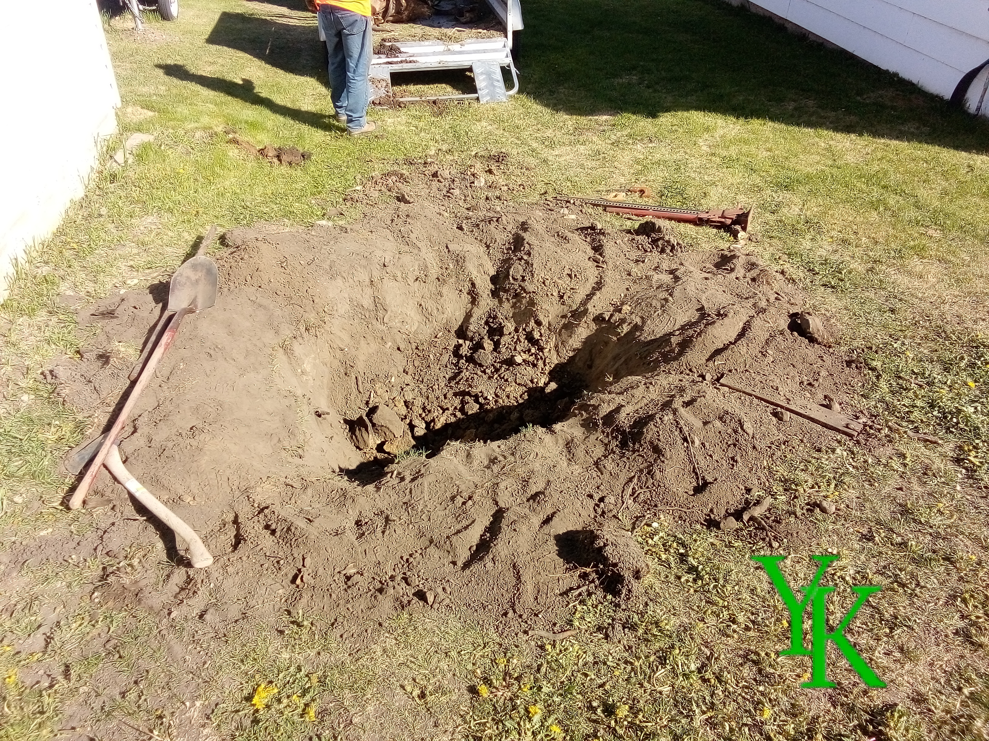 Apple Tree Stump Removal