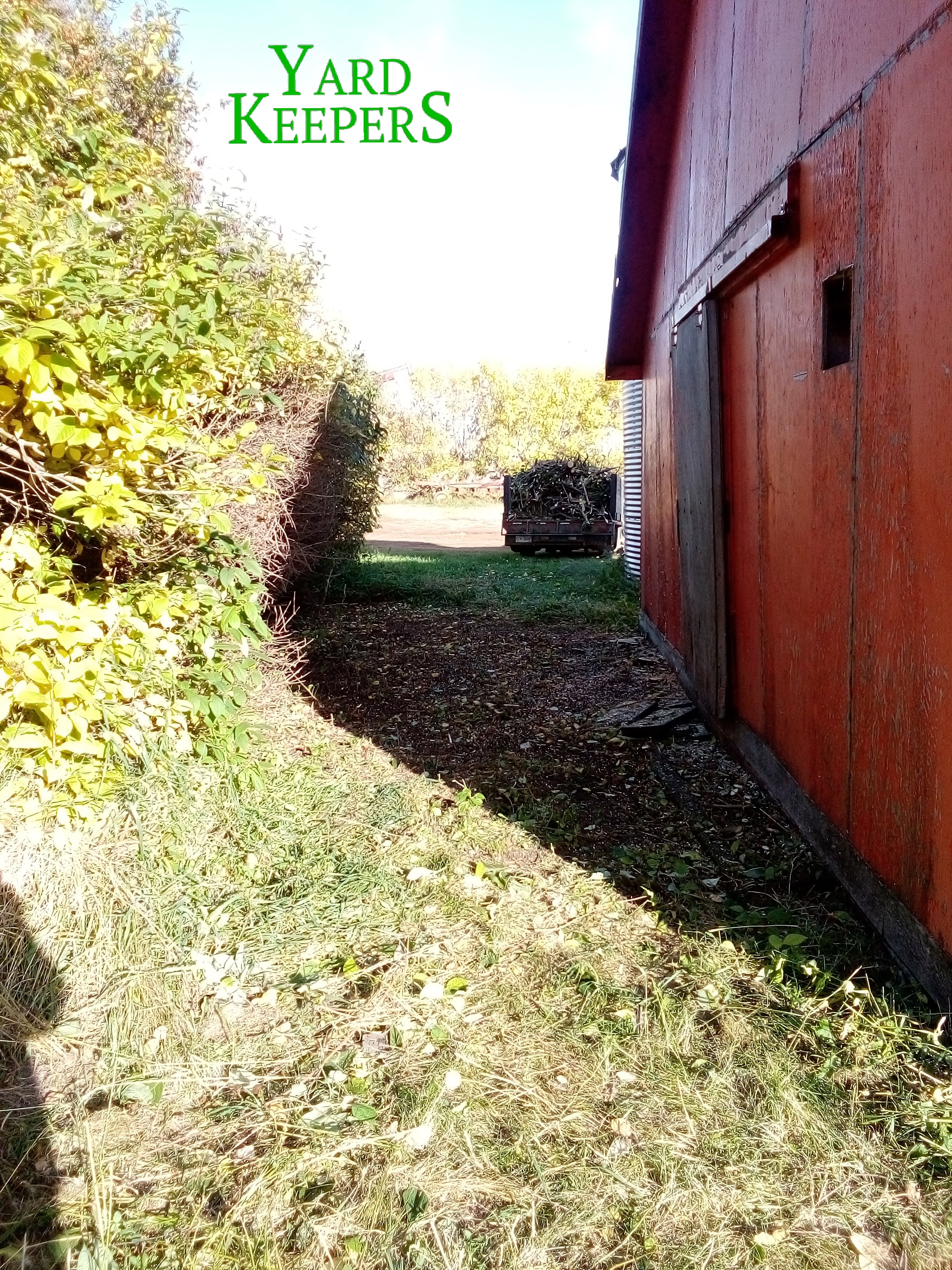 Cleared Barn Brush