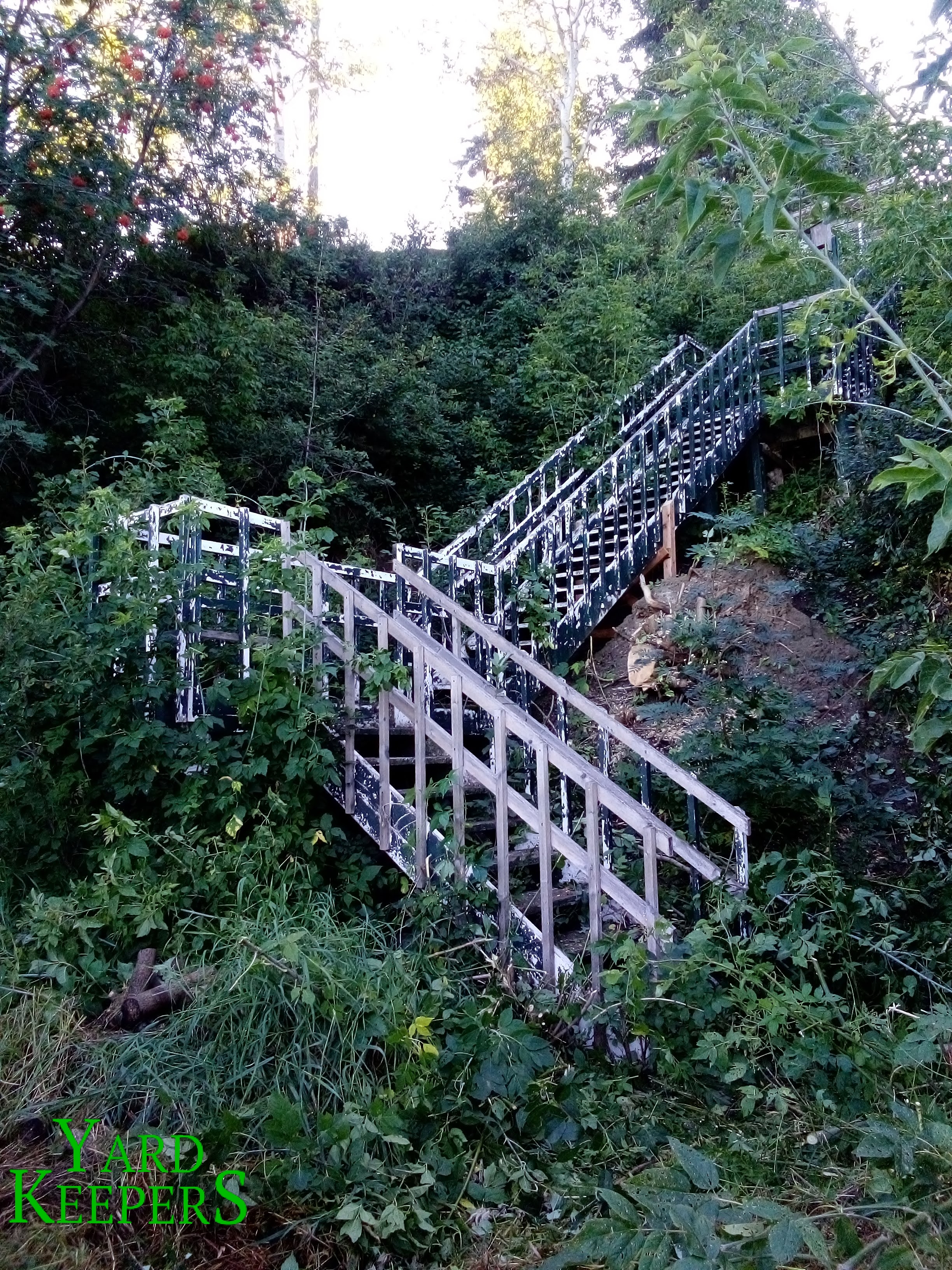 Brush Clearing Progress 1