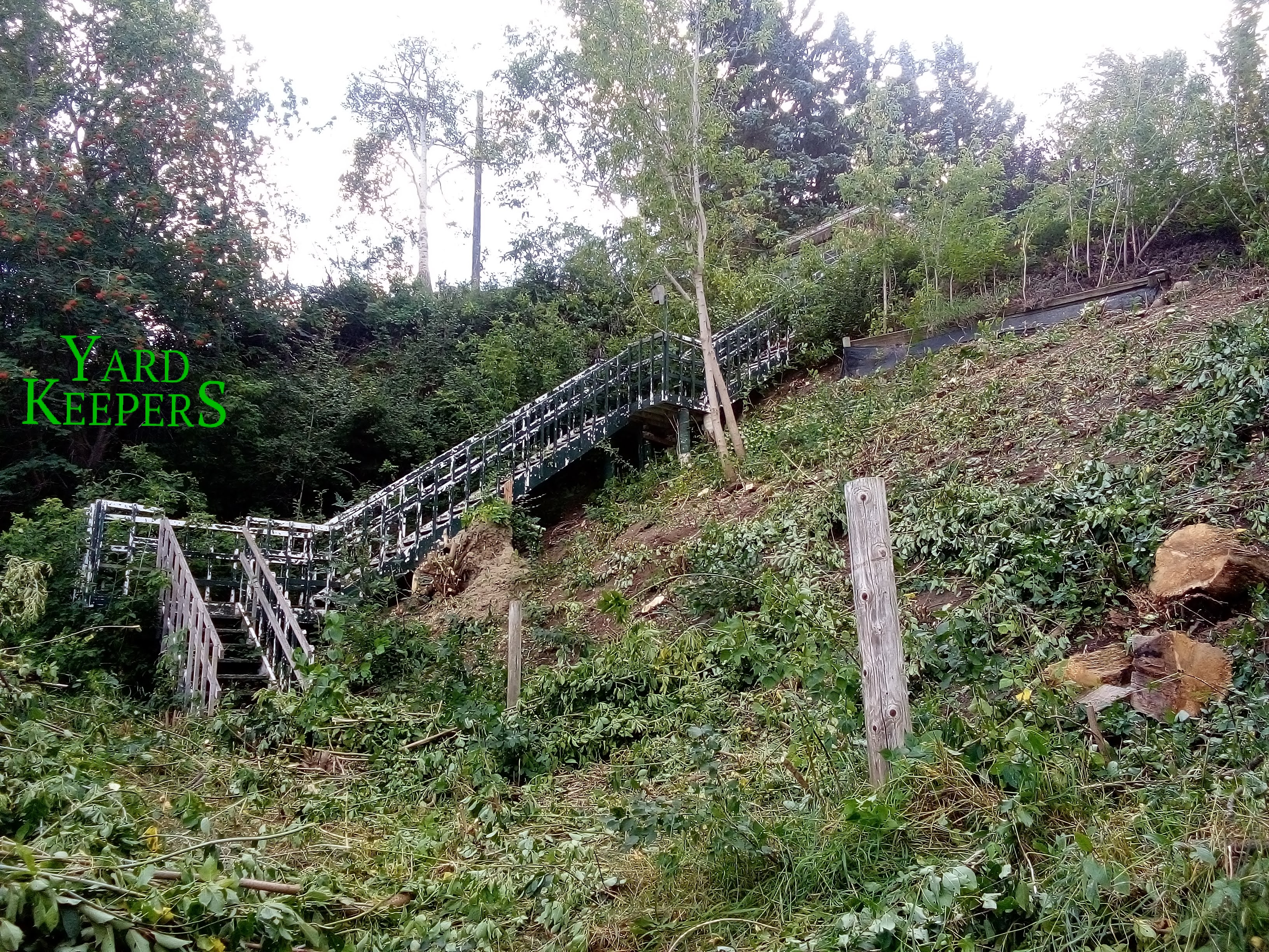 Brush Clearing Progress 2