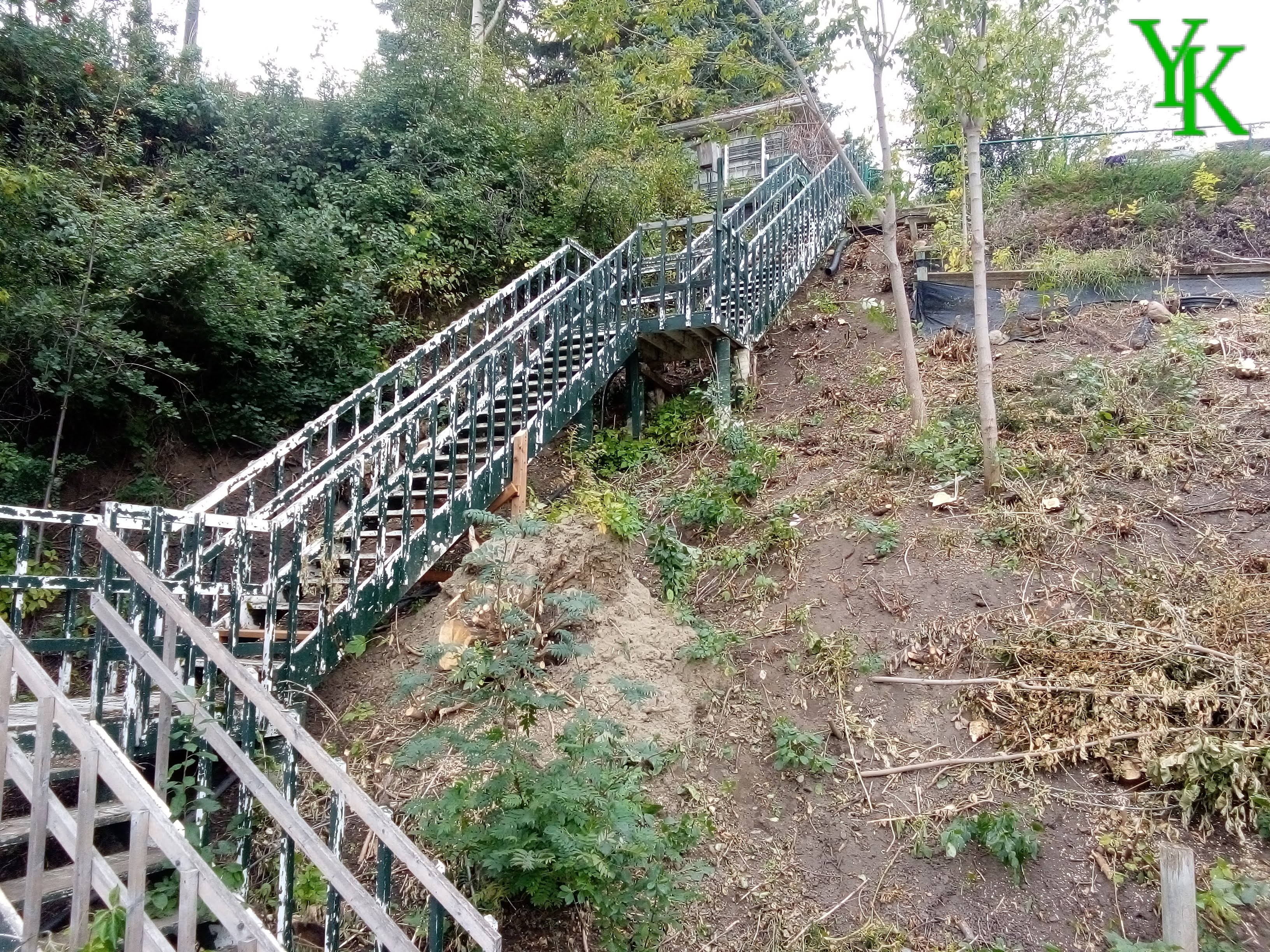 Steep Hillside Brush Clearing