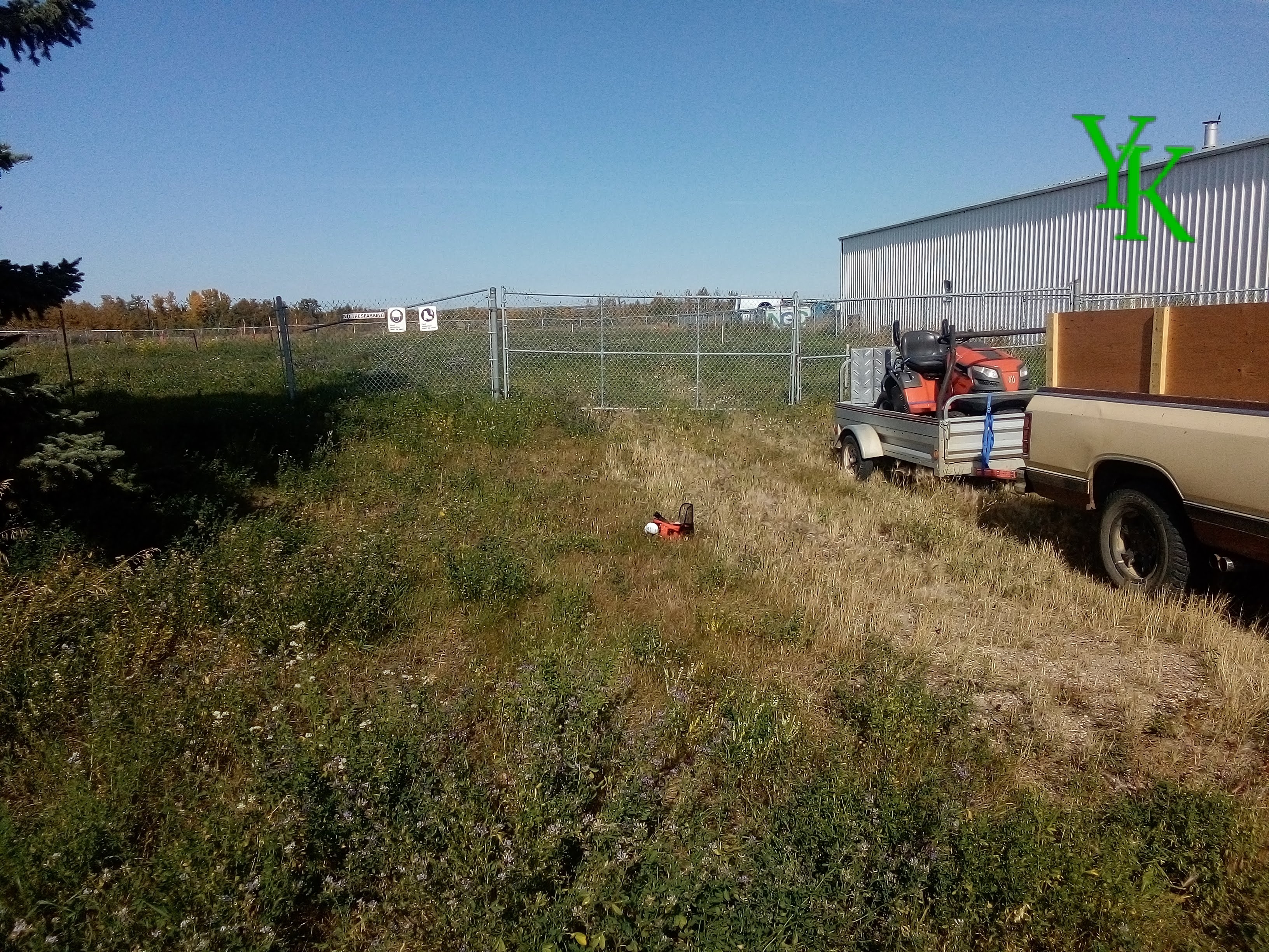 Overgrown Commercial Site